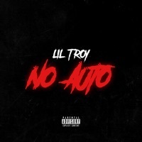 Thumbnail for the Lil' Troy - No Auto link, provided by host site