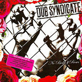 Thumbnail for the Dub Syndicate - No Bed of Roses link, provided by host site