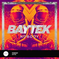 Image of Baytek linking to their artist page due to link from them being at the top of the main table on this page