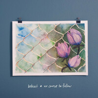 Thumbnail for the Bobcat - No Course to Follow link, provided by host site