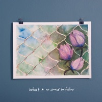 Thumbnail for the Bobcat - No Course to Follow link, provided by host site