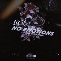 Thumbnail for the LUT - No Emotions link, provided by host site