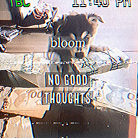 Thumbnail for the Bloom - No Good Thoughts link, provided by host site