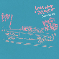 Thumbnail for the Wolf + Lamb - No Habla (Stefano Amalfi Remix) link, provided by host site