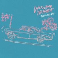 Thumbnail for the Wolf + Lamb - No Habla (Stefano Amalfi Remix) link, provided by host site