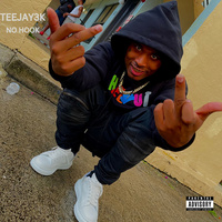 Thumbnail for the Teejay3k - No Hook link, provided by host site