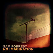 Thumbnail for the Sam Forrest - No Imagination link, provided by host site