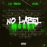 Thumbnail for the G Val - No Label Money link, provided by host site