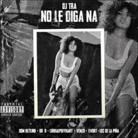 Thumbnail for the DJ Tra - No Le Diga Na link, provided by host site