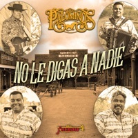 Thumbnail for the Los Palominos - No Le Digas a Nadie link, provided by host site