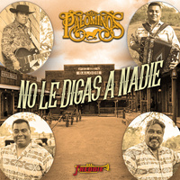 Thumbnail for the Los Palominos - No Le Digas A Nadie link, provided by host site
