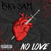 Thumbnail for the Big Sam - No Love link, provided by host site