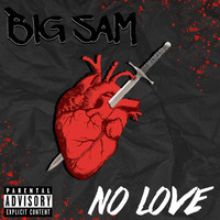 Thumbnail for the Big Sam - No Love link, provided by host site