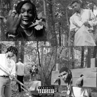 Thumbnail for the YNW Melly - No Love link, provided by host site