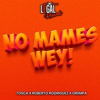 Thumbnail for the Tosca - No mames wey! link, provided by host site