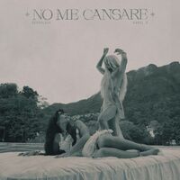 Thumbnail for the Sevdaliza - No Me Cansare link, provided by host site