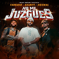 Thumbnail for the Farruko - No Me Juzgues link, provided by host site