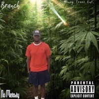Thumbnail for the Branch - No Melody link, provided by host site