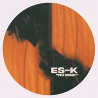 Thumbnail for the ES-K - No Mind link, provided by host site