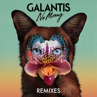 Thumbnail for the Galantis - No Money - Lucky Charmes Remix link, provided by host site
