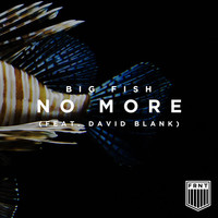 Thumbnail for the Big Fish - No More link, provided by host site