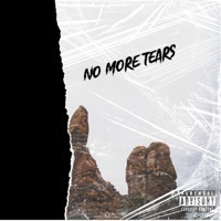 Thumbnail for the Hilly - No More Tears link, provided by host site