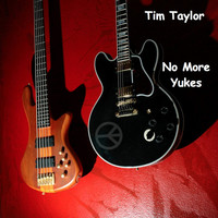 Thumbnail for the Tim Taylor - No More Yukes link, provided by host site