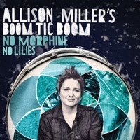 Thumbnail for the Allison Miller - No Morphine, No Lilies link, provided by host site