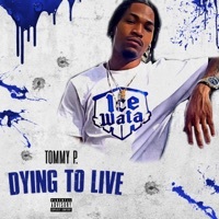 Thumbnail for the Tommy P - No No link, provided by host site