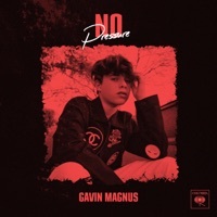 Thumbnail for the Gavin Magnus - No Pressure link, provided by host site