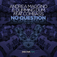 Thumbnail for the Andrea Maggino - No Question link, provided by host site