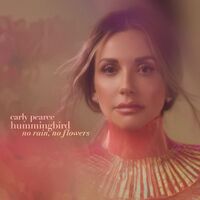 Thumbnail for the Carly Pearce - no rain link, provided by host site