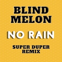Thumbnail for the Blind Melon - No Rain (Super Duper Remix) link, provided by host site