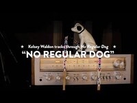 Thumbnail for the Kelsey Waldon - "No Regular Dog" (Behind the Song) - No Regular Dog link, provided by host site
