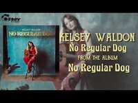 Thumbnail for the Kelsey Waldon - "No Regular Dog" - No Regular Dog link, provided by host site