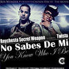 Thumbnail for the Reychesta "Secret Weapon" - No Sabes De Me (You Don't Know Who I Be) link, provided by host site