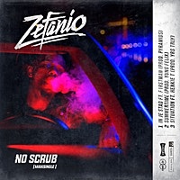 Thumbnail for the Zefanio - No Scrub link, provided by host site