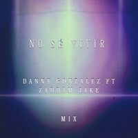 Thumbnail for the Danny Gonzalez - No Sé Vivir (Mix) link, provided by host site