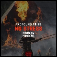 Thumbnail for the Profound - No Stress link, provided by host site