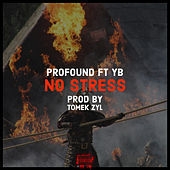 Thumbnail for the Profound - No Stress link, provided by host site