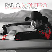 Thumbnail for the Pablo Montero - No Te Quedes Con la Duda link, provided by host site