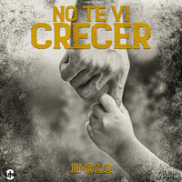 Thumbnail for the Nestor En Bloque - No Te Vi Crecer link, provided by host site