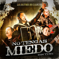 Thumbnail for the Los Buitres de Culiacan Sinaloa - No Tengas Miedo (Con Tuba) link, provided by host site