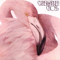 Thumbnail for the Christopher Cross - No Time for Talk (2019 Remaster) link, provided by host site