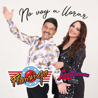 Thumbnail for the Flamingo - No Voy a Llorar link, provided by host site