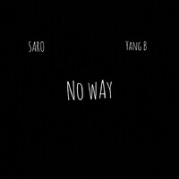 Thumbnail for the Saro - No Way link, provided by host site