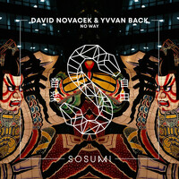 Thumbnail for the David Novacek - No Way link, provided by host site