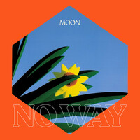 Thumbnail for the Moon - No Way link, provided by host site