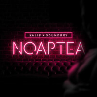 Thumbnail for the Kalif - Noaptea link, provided by host site