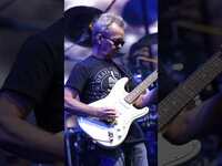 Thumbnail for the Dave Matthews Band - Noblesville, IN Recap #shorts link, provided by host site